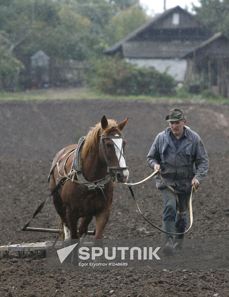Sowing of winter crops in Belarus' Grodno Region