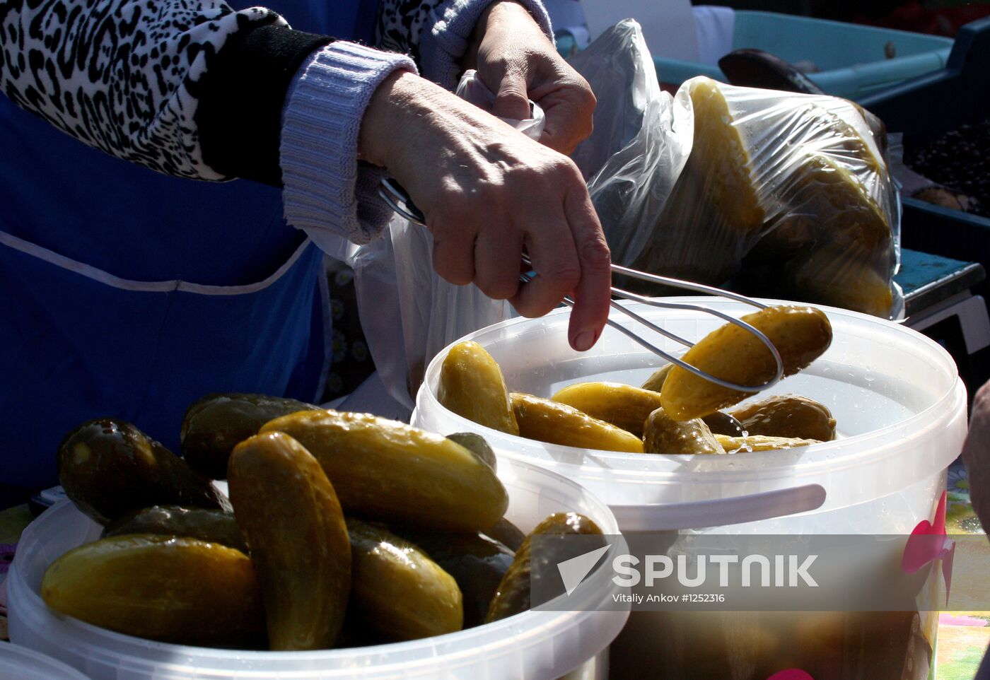 Gardeners' and farmers' fair "Right From The Garden-Bed"
