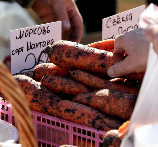 Gardeners' and farmers' fair "Right From The Garden-Bed"