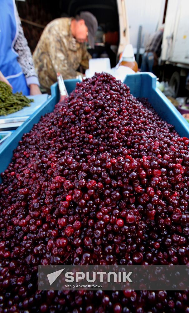 Gardeners' and farmers' fair "Right From The Garden-Bed"
