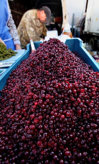 Gardeners' and farmers' fair "Right From The Garden-Bed"