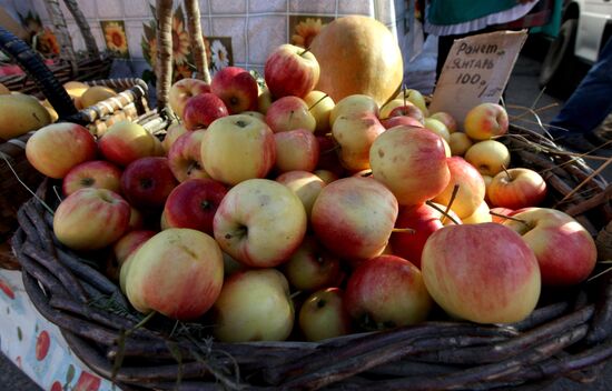 Gardeners' and farmers' fair "Right From the Garden-Bed"