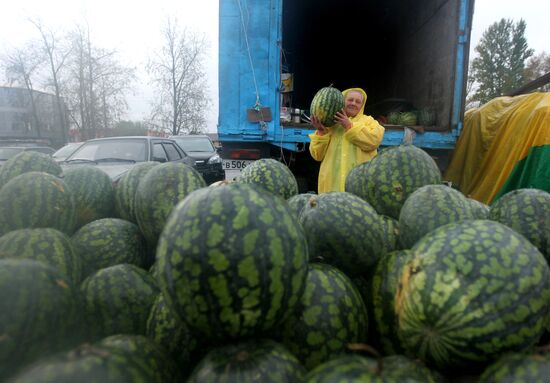 Agricultural Harvest fair in Veliky Novgorod