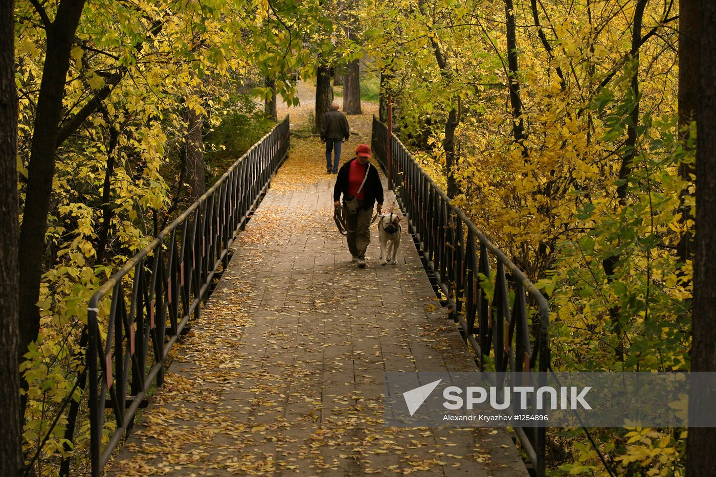 Autumn in Novosibirsk