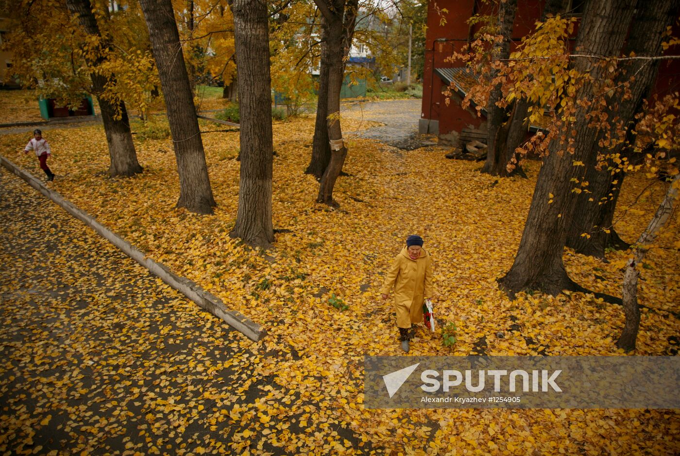 Autumn in Novosibirsk