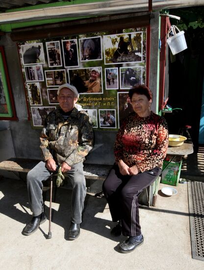 Married couple keeps 10 Asian black bears in Primorye Territory