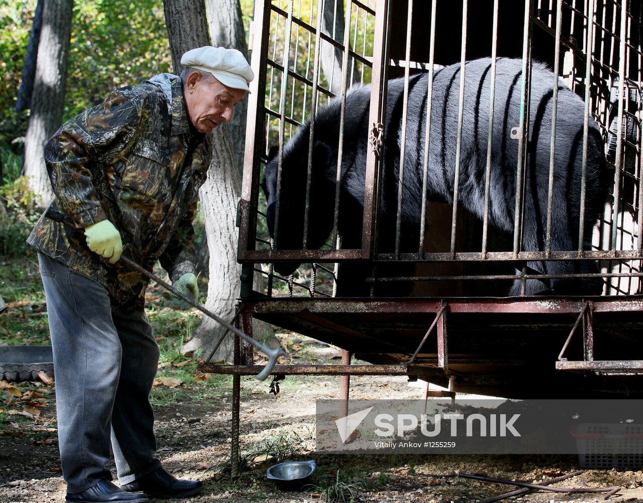Married couple keeps 10 Asian black bears in Primorye Territory