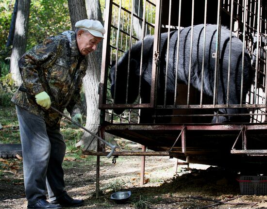 Married couple keeps 10 Asian black bears in Primorye Territory