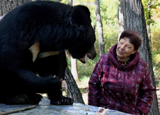 Married couple keep 10 black bears in Primorye Territory