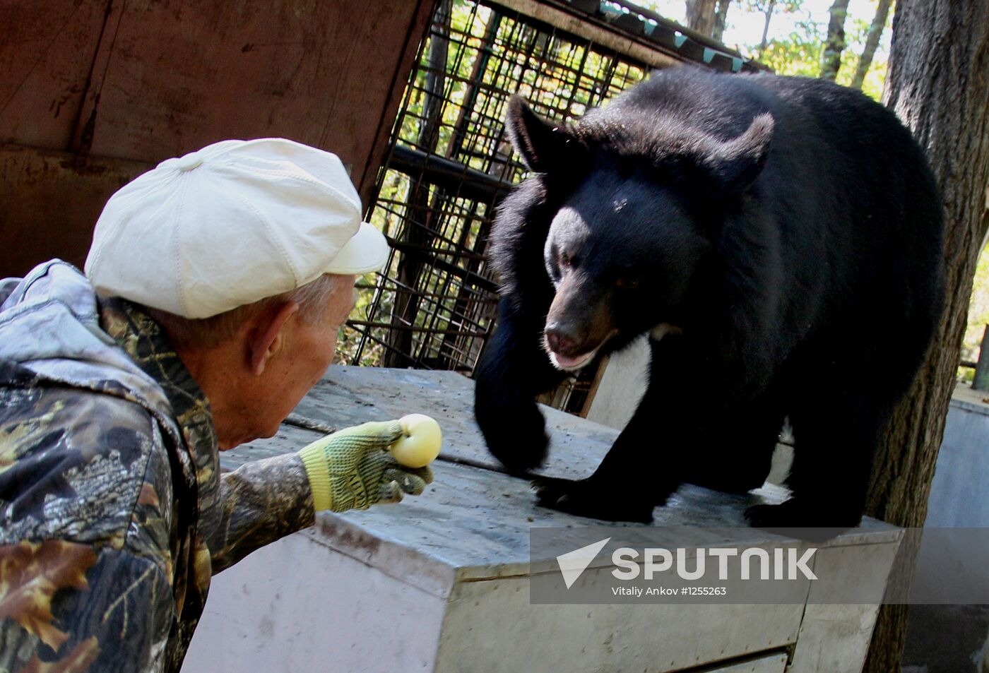 Married couple keep 10 black bears in Primorye Territory