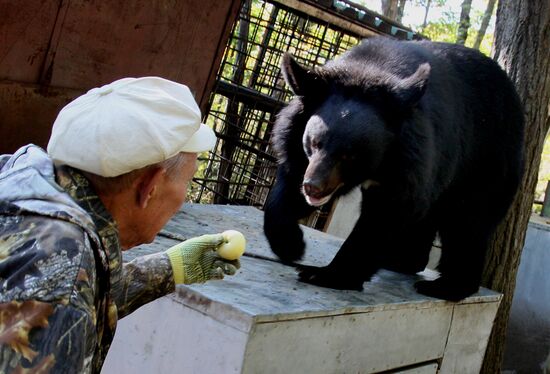 Married couple keep 10 black bears in Primorye Territory