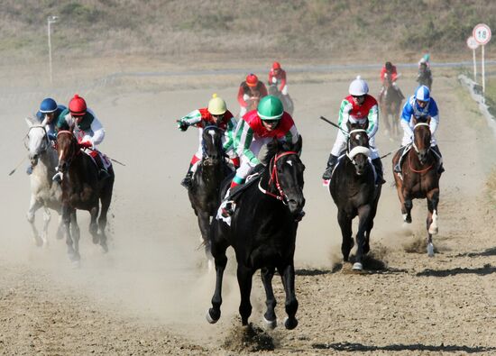 Horse races honoring the birthday of Vladimir Putin in Chechnya