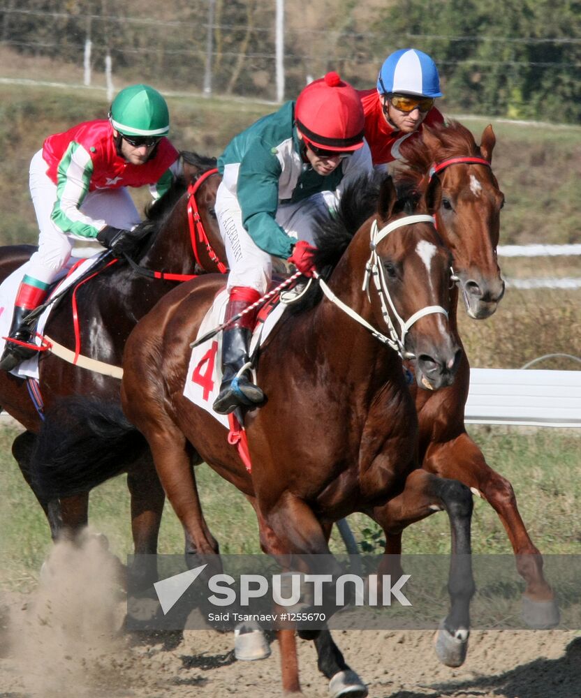 Horse races honoring the birthday of Vladimir Putin in Chechnya