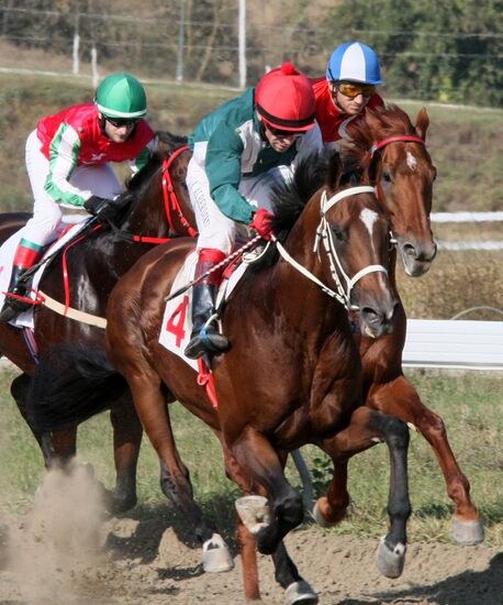 Horse races honoring the birthday of Vladimir Putin in Chechnya