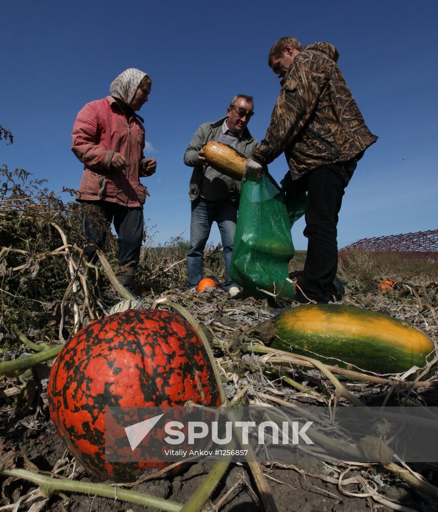 Daily life on a farm in Primorsky territory