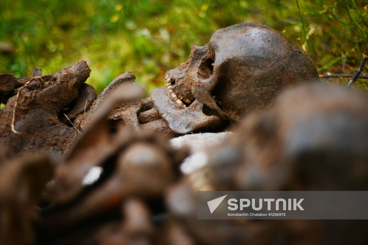 Search team finds Great Patriotic War relics
