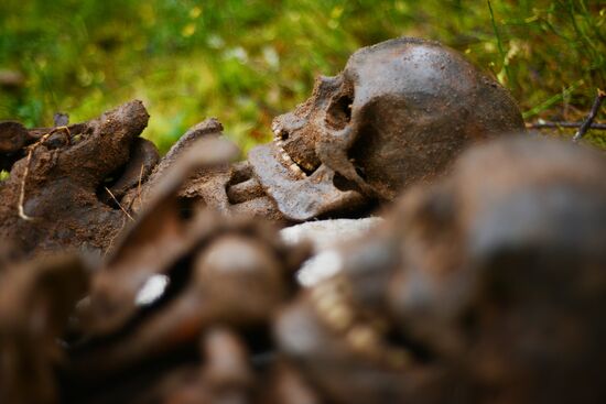 Search team finds Great Patriotic War relics