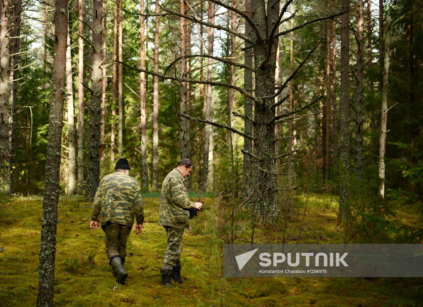 Search team finds Great Patriotic War relics