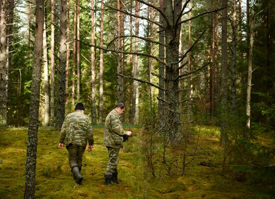 Search team finds Great Patriotic War relics