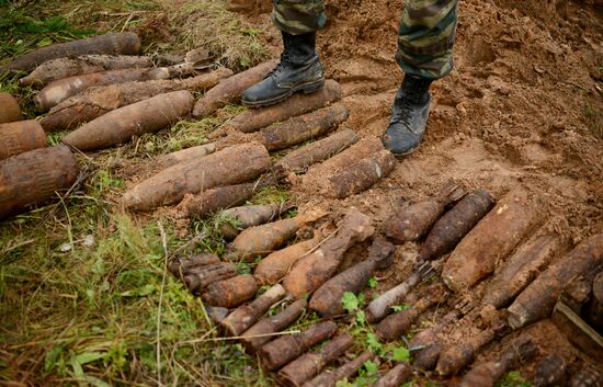 Search team finds Great Patriotic War relics
