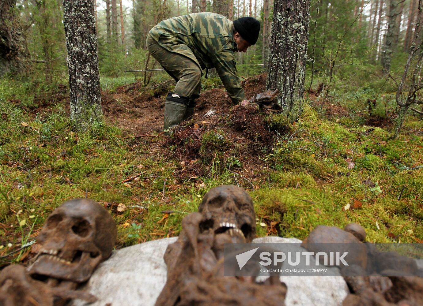 Search team finds Great Patriotic War relics