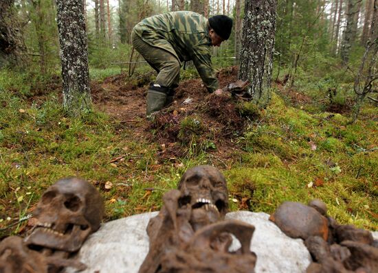 Search team finds Great Patriotic War relics