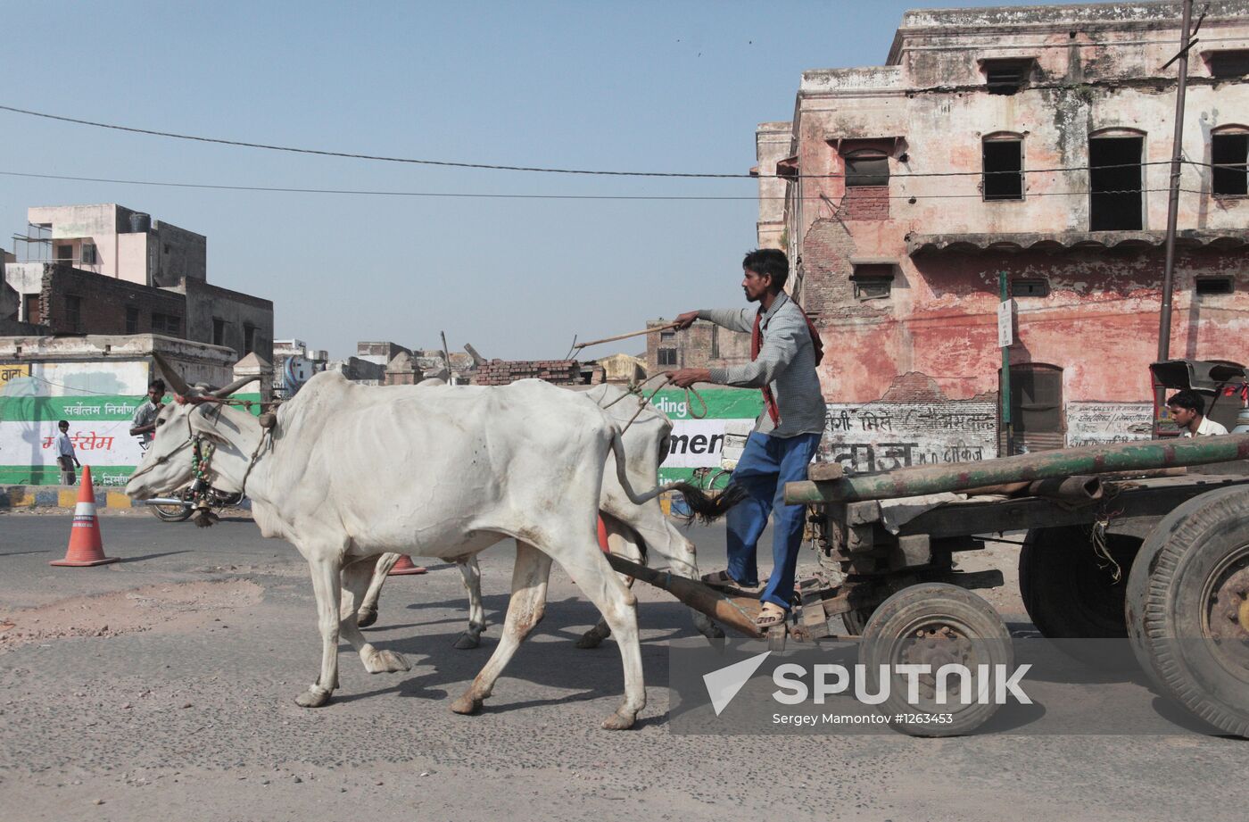 World countries. India