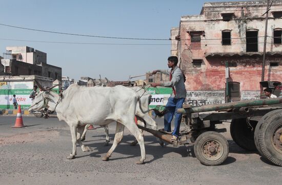 World countries. India
