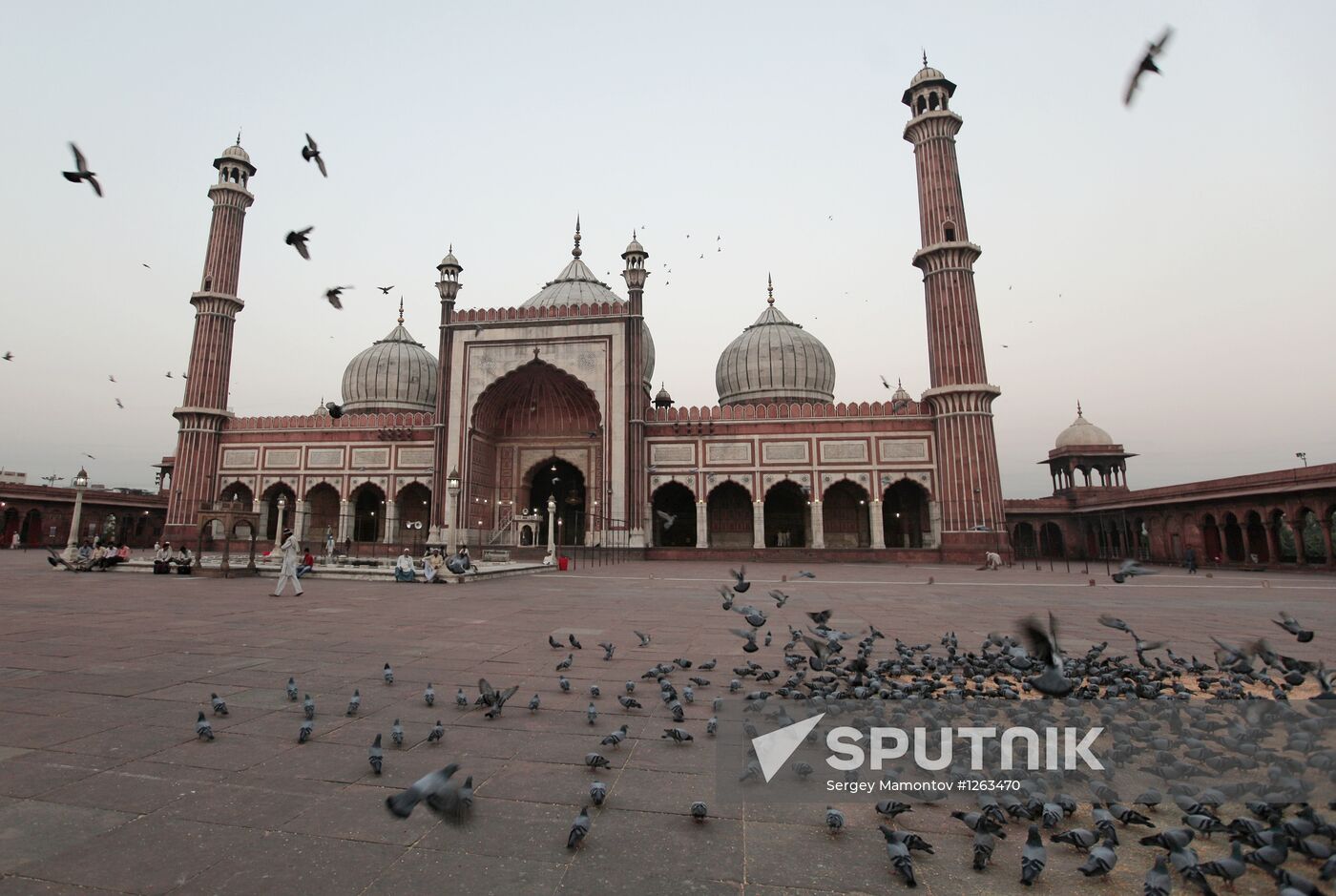 World countries. India