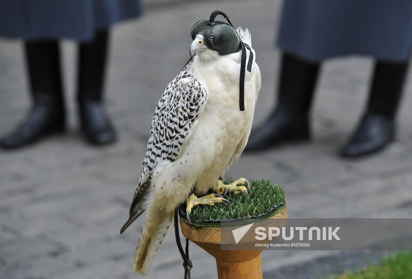 Transfer of falcons to commandant's service in Moscow Kremlin