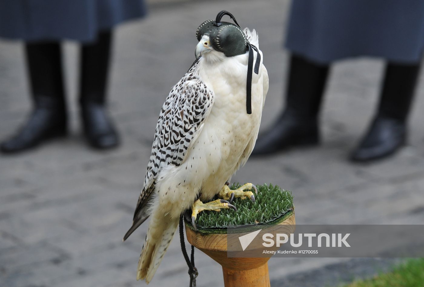 Transfer of falcons to commandant's service in Moscow Kremlin