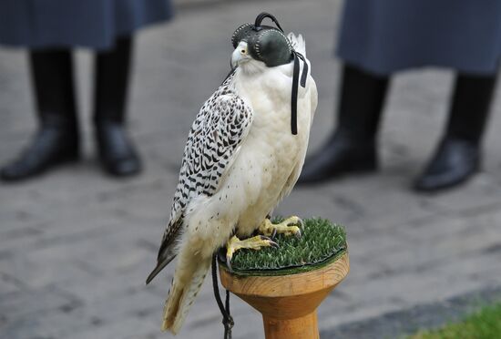 Transfer of falcons to commandant's service in Moscow Kremlin