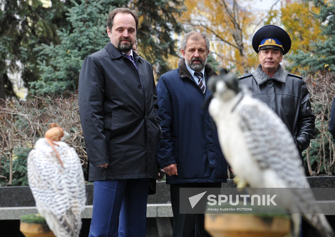 Transfer of falcons to commandant's service in Moscow Kremlin