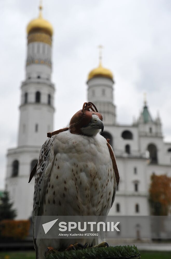 Transfer of falcons to commandant's service in Moscow Kremlin