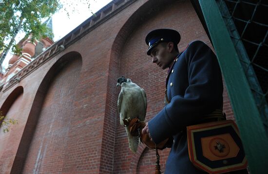 Transfer of falcons to commandant's service in Moscow Kremlin