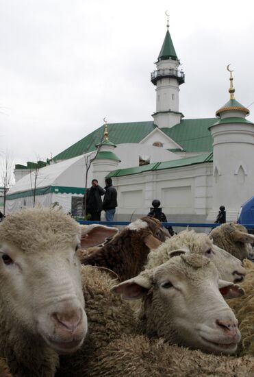 Russian regions celebrate Eid Al-Adha