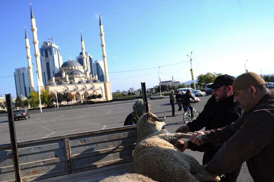 Preparations for celebrating Eid al-Adha in Grozny