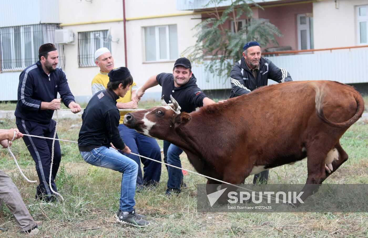 Celebration of Eid al-Adha in Russian regions