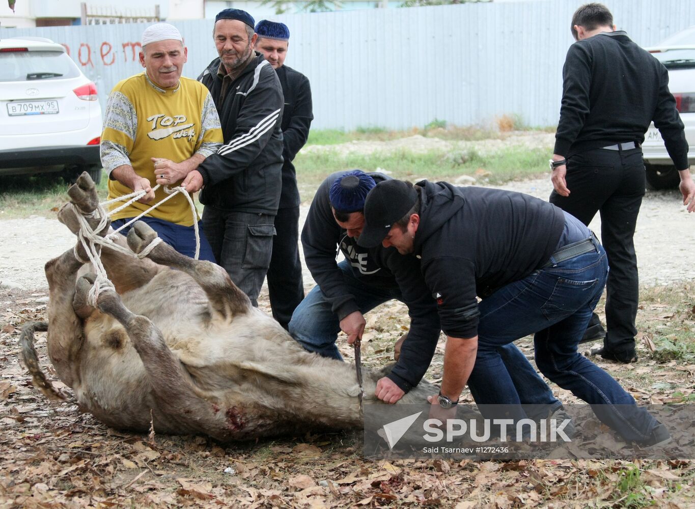 Celebration of Eid al-Adha in Russian regions