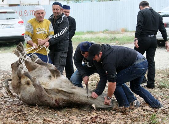 Celebration of Eid al-Adha in Russian regions