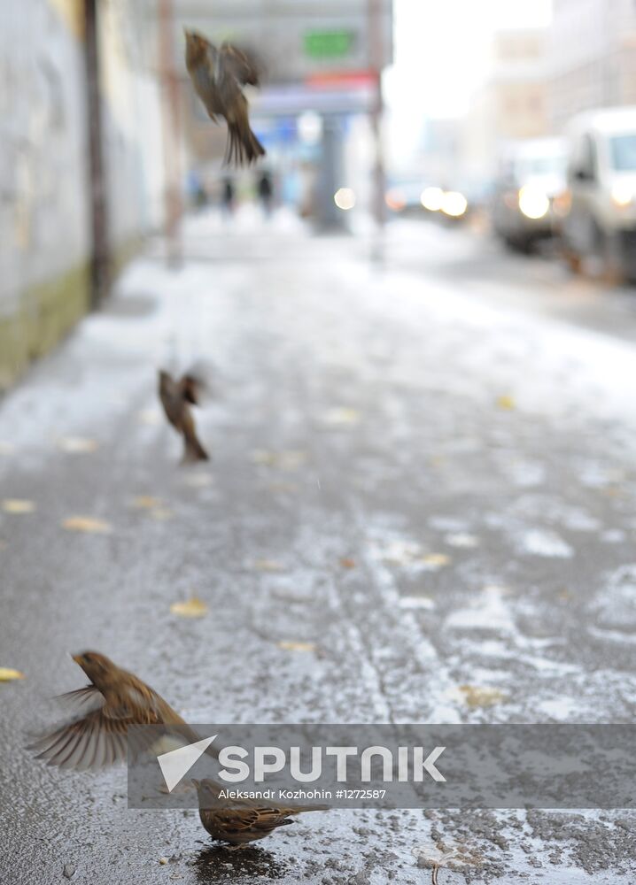 First snow in Moscow