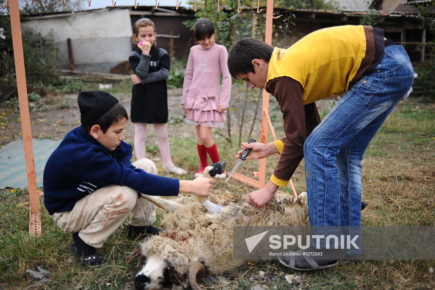 Celebration of Eid al-Adha in regions