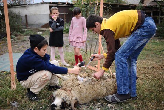 Celebration of Eid al-Adha in regions
