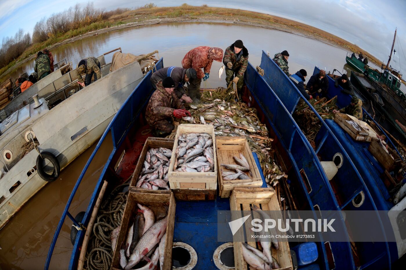 Fishing farm in Novgorod Region