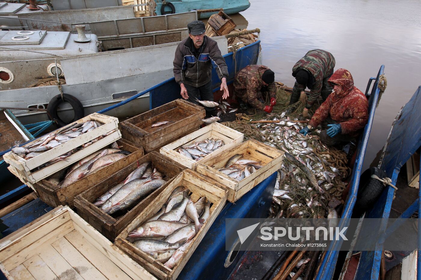 Fishing farm in Novgorod Region