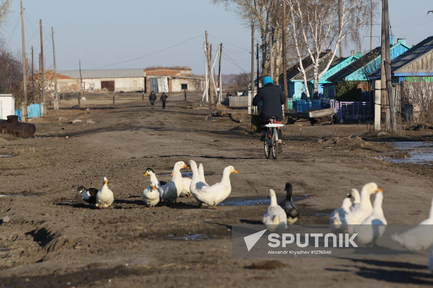 Village life in Novosibirsk region