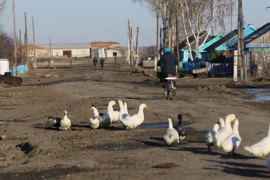 Village life in Novosibirsk region