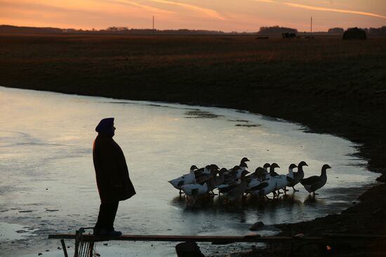 Village life in Novosibirsk region