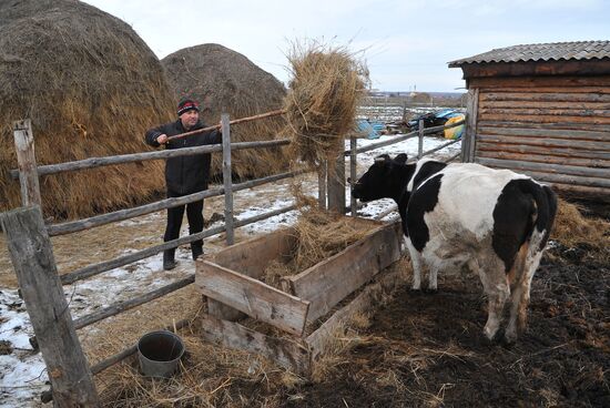 Rural life in Karabolka village, Chelyabinsk region