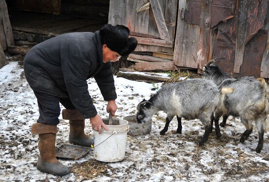 Rural life in Karabolka village, Chelyabinsk region